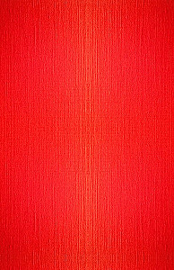 Der Kodex der Samurai. Das Buch der fünf Ringe