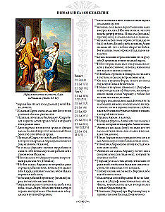 Biblia. Stary testament (Zestaw z 2 książek)