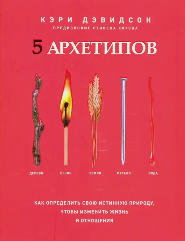 5 archetypów. Drzewo. Ogień. Ziemia. Metal. Woda. Jak określić swoją prawdziwą naturę, aby zmienić życie i relacje
