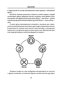 5 archetypów. Drzewo. Ogień. Ziemia. Metal. Woda. Jak określić swoją prawdziwą naturę, aby zmienić życie i relacje