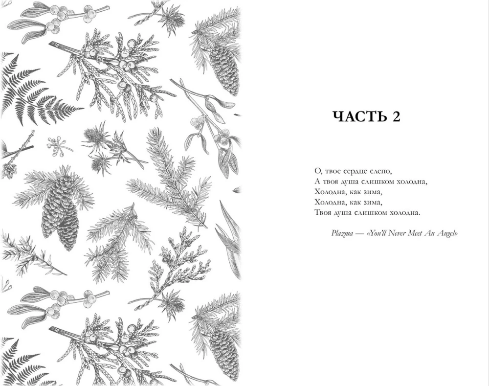 Сердце зимы