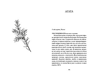 Сердце зимы