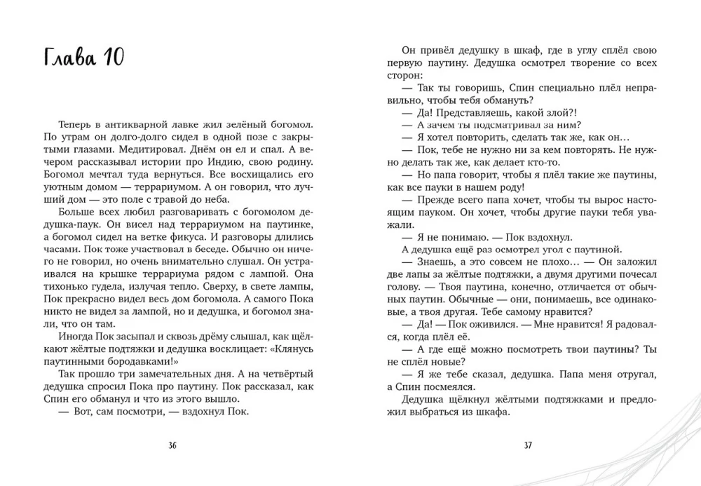 Spider Pok. The Secret of the Silver Web