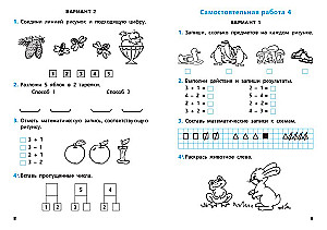 Independent and Control Work in Mathematics: Grade 1