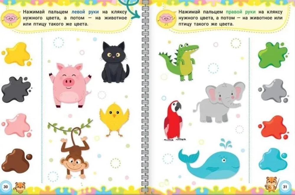 Neurotrainer. Exercises for Brain Development