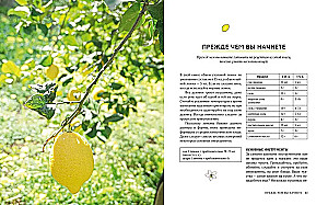 Nepārspējams dāvanu komplekts gardēžiem no ievārījuma, konserviem un citrona. (komplekts no 3 grāmatām)