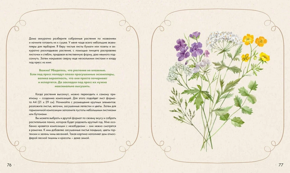 Watercolor Forest. Botanical Diary for Nature and Watercolor Lovers