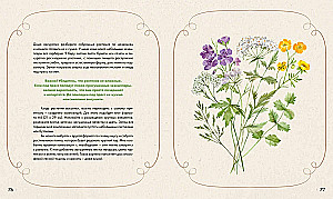 Watercolor Forest. Botanical Diary for Nature and Watercolor Lovers