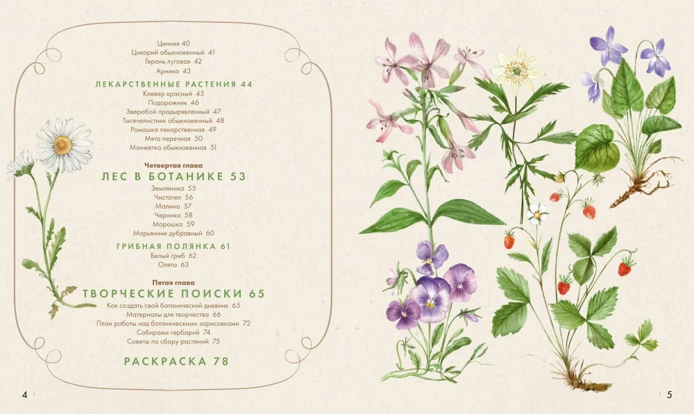 Watercolor Forest. Botanical Diary for Nature and Watercolor Lovers