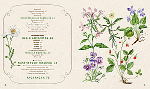 Watercolor Forest. Botanical Diary for Nature and Watercolor Lovers