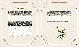 Watercolor Forest. Botanical Diary for Nature and Watercolor Lovers