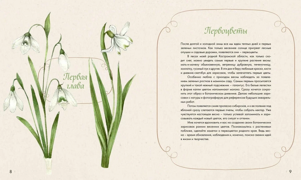 Watercolor Forest. Botanical Diary for Nature and Watercolor Lovers