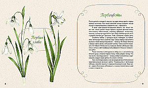 Watercolor Forest. Botanical Diary for Nature and Watercolor Lovers