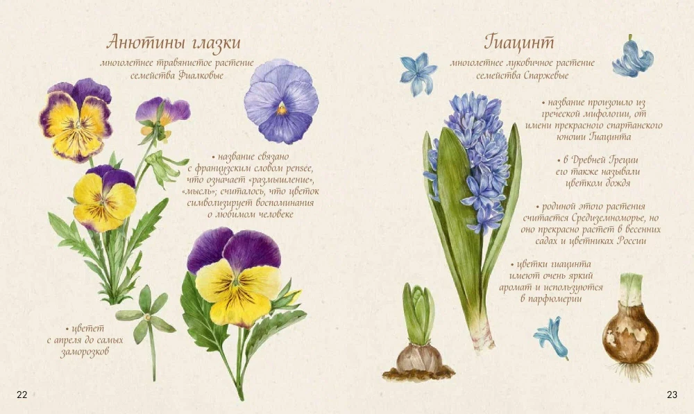 Watercolor Forest. Botanical Diary for Nature and Watercolor Lovers