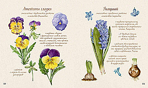 Watercolor Forest. Botanical Diary for Nature and Watercolor Lovers