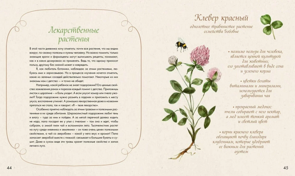 Watercolor Forest. Botanical Diary for Nature and Watercolor Lovers