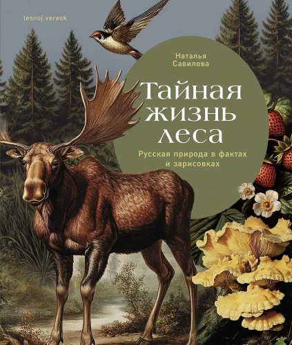 Das geheime Leben des Waldes. Russische Natur in Fakten und Skizzen
