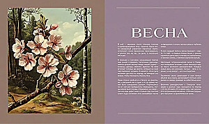 Tajna życie lasu. Rosyjska przyroda w faktach i szkicach