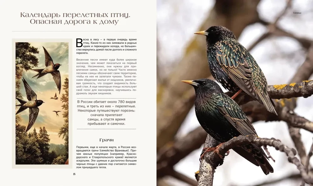 Тайная жизнь леса. Русская природа в фактах и зарисовках