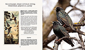 Тайная жизнь леса. Русская природа в фактах и зарисовках
