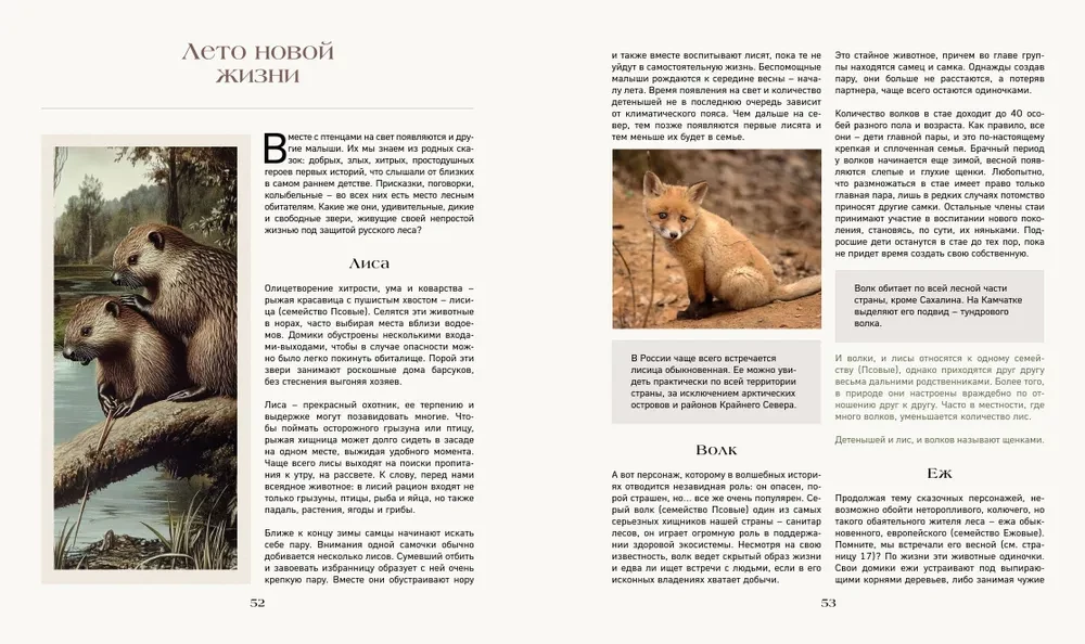 Tajna życie lasu. Rosyjska przyroda w faktach i szkicach