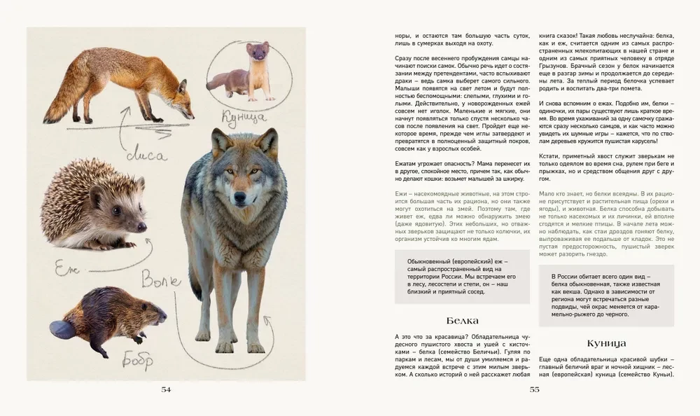 Tajna życie lasu. Rosyjska przyroda w faktach i szkicach