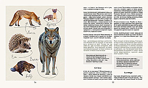 Tajna życie lasu. Rosyjska przyroda w faktach i szkicach