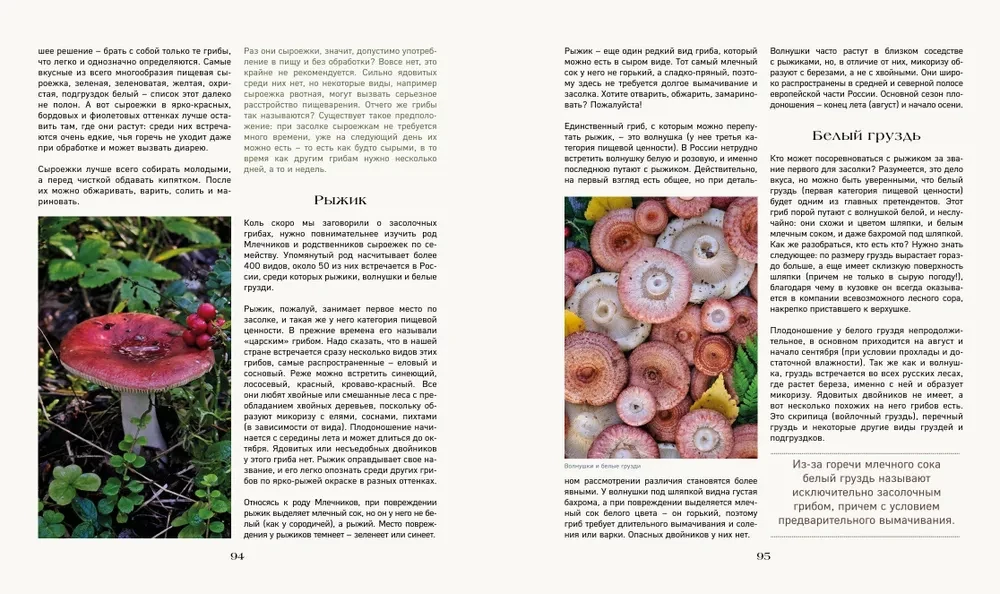 Tajna życie lasu. Rosyjska przyroda w faktach i szkicach