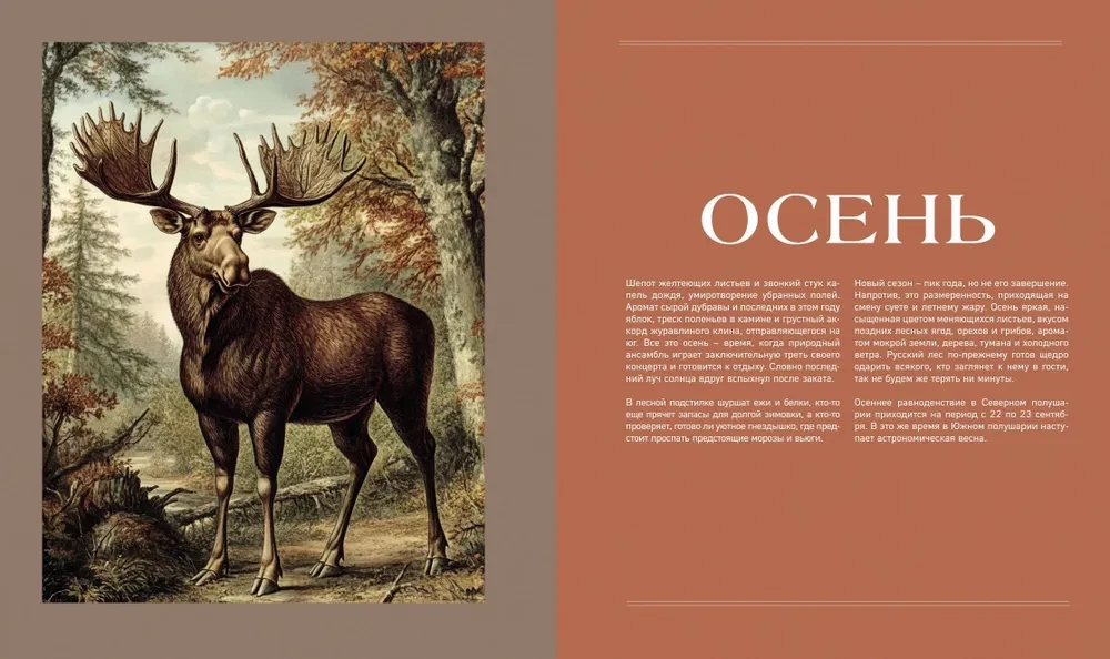 Tajna życie lasu. Rosyjska przyroda w faktach i szkicach