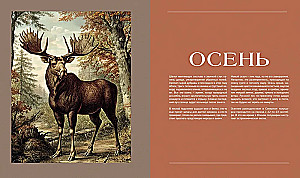 Tajna życie lasu. Rosyjska przyroda w faktach i szkicach