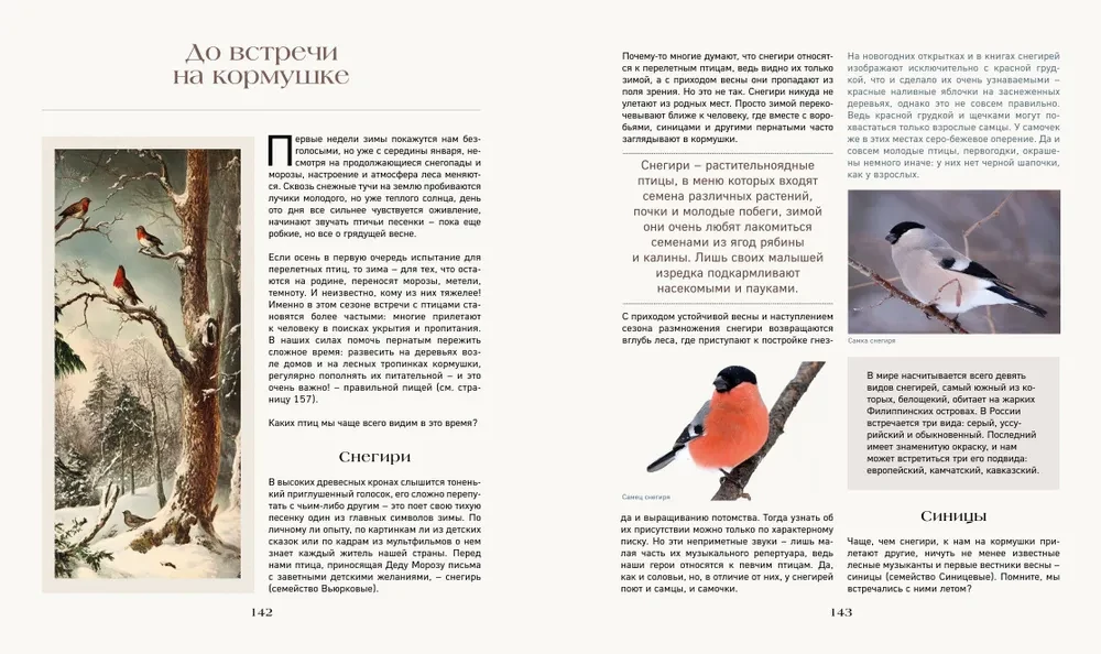 Тайная жизнь леса. Русская природа в фактах и зарисовках