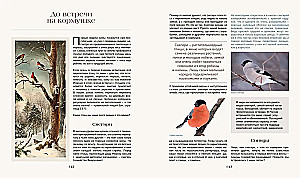 Тайная жизнь леса. Русская природа в фактах и зарисовках