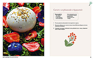 The Warmth of a Small House. Cozy Living, Recipes, Garden, and Eco-Friendly Habits