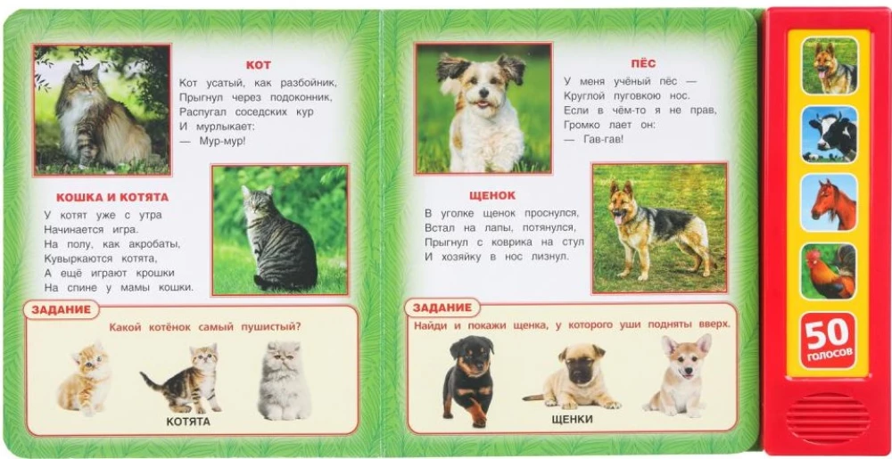 Домашние животные