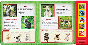 Домашние животные