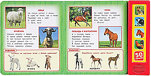 Домашние животные