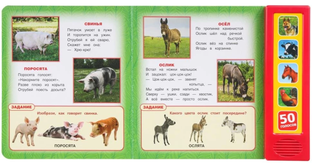 Домашние животные