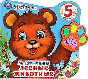 Zwierzęta leśne. Drużynina
