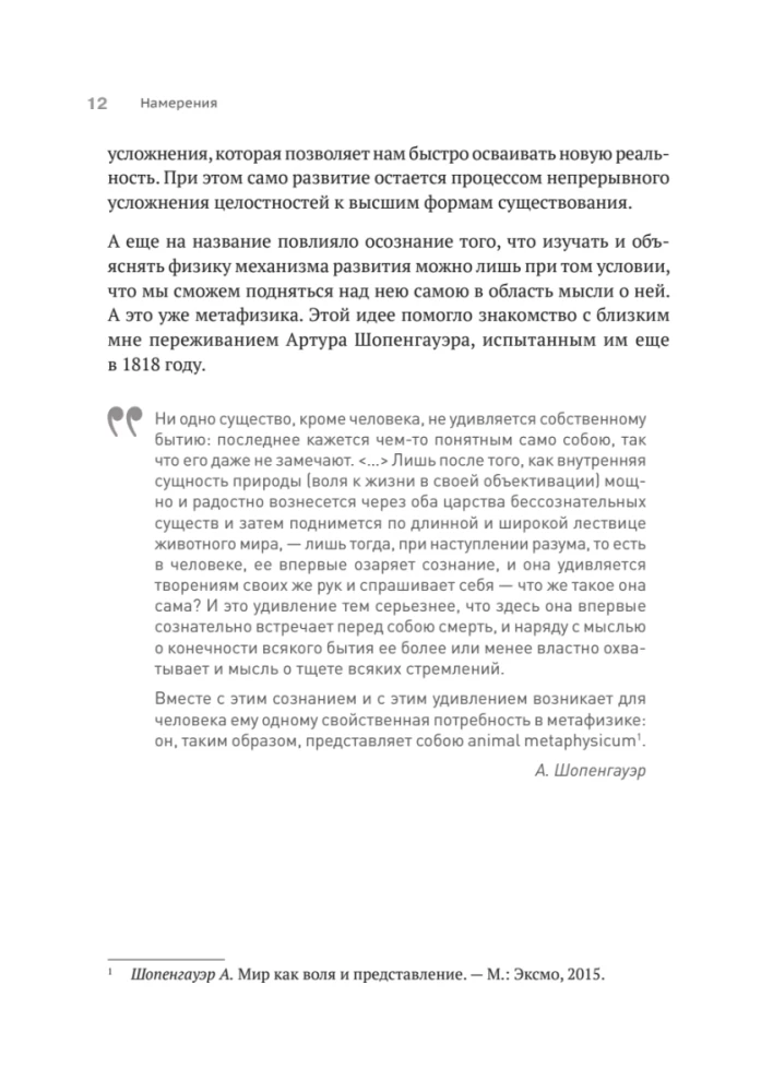 Metaphysik der Entwicklung. Komplexität als Objekt der Steuerung