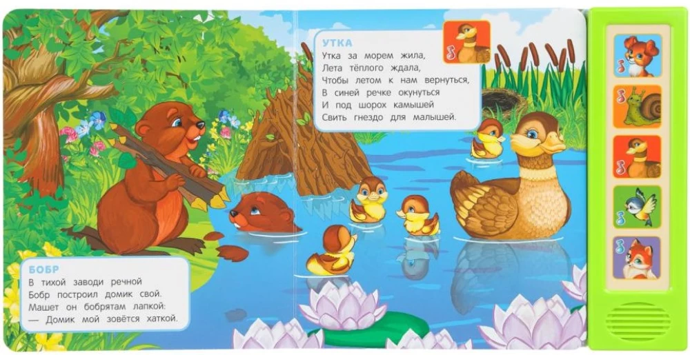 Кто где живёт