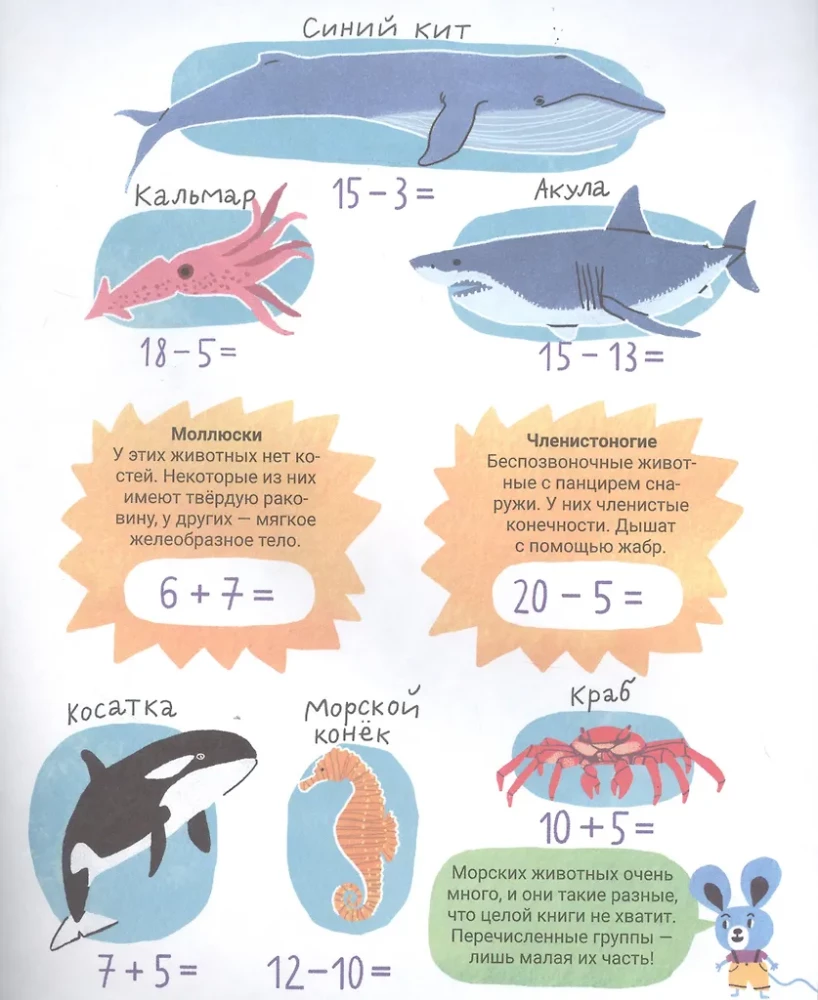 Der geheimnisvolle Ozean