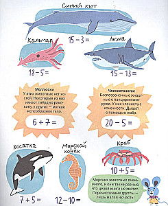 Der geheimnisvolle Ozean