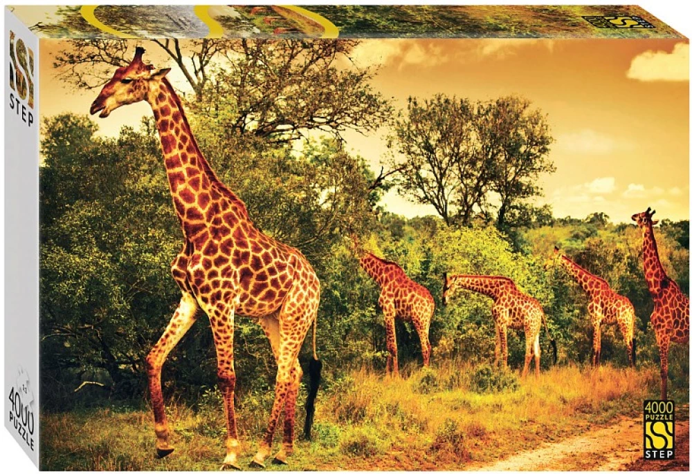 Puzzle 4000 - South African Giraffes