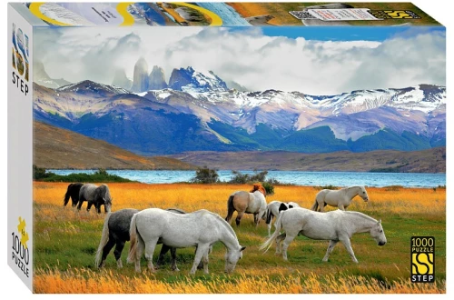 Пазл  - Лошади в национальном парке. Чили, 1000 элементов
