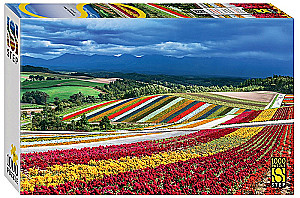 Puzzle - Hokkaido Island, Japan, 1000 pieces