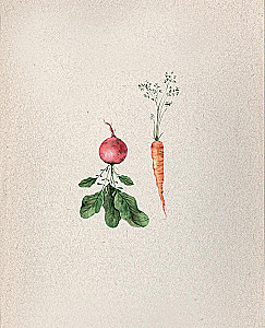 Czy jadłaś? Rozgrzewające przepisy przez cały rok