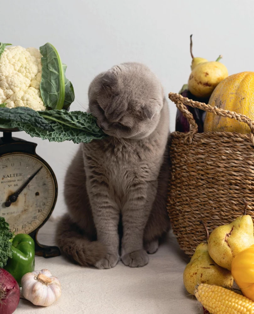 Czy jadłaś? Rozgrzewające przepisy przez cały rok