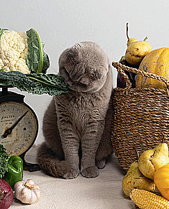 Czy jadłaś? Rozgrzewające przepisy przez cały rok