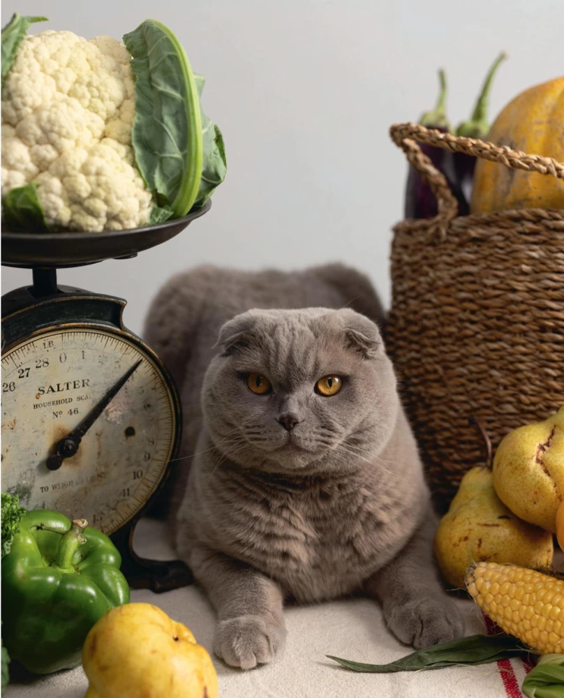 Czy jadłaś? Rozgrzewające przepisy przez cały rok