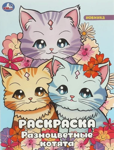 Wielokolorowe kocięta